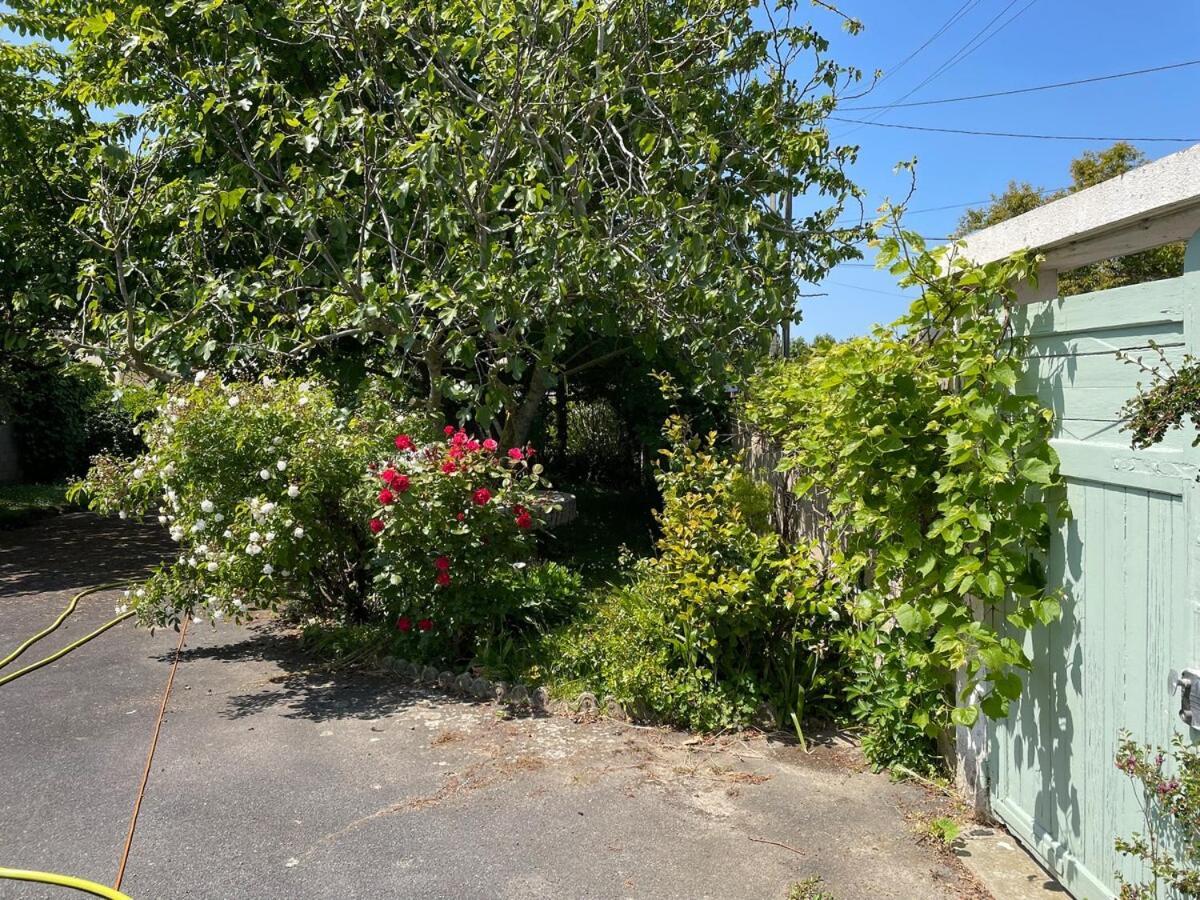 La Maison De Marie A 5 Minutes A Pied De La Plage Avec Parking Privee Et Gratuit Lion-sur-Mer Luaran gambar
